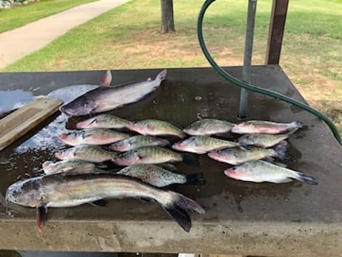 Largemouth Bass Fishing on Lake Whitney: A Guide's Honest Take