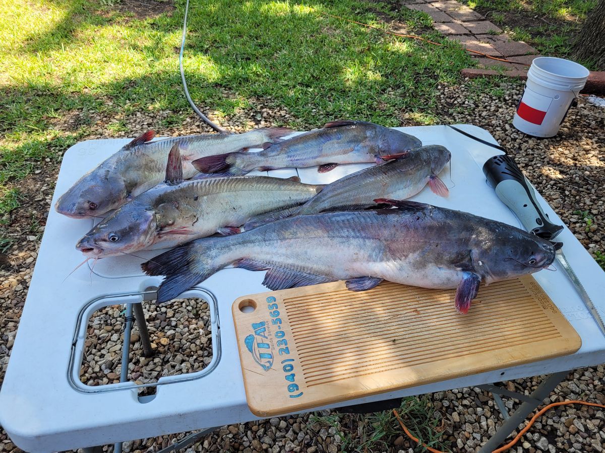 How to Cook Your Catch: Striper, Catfish, Crappie, and White Bass Recipes
